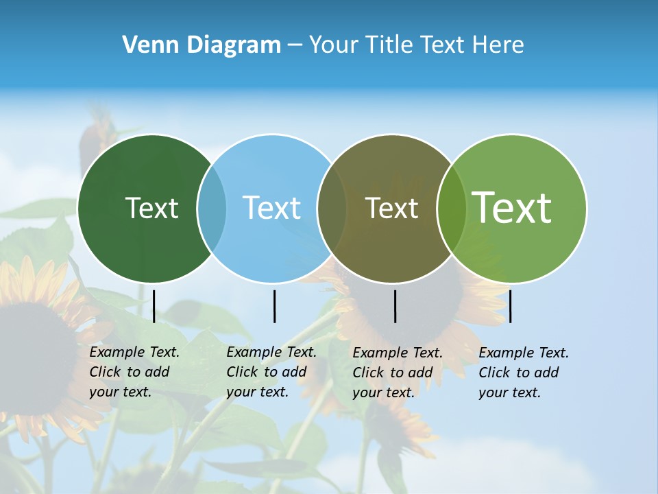 Colour Background Oil PowerPoint Template