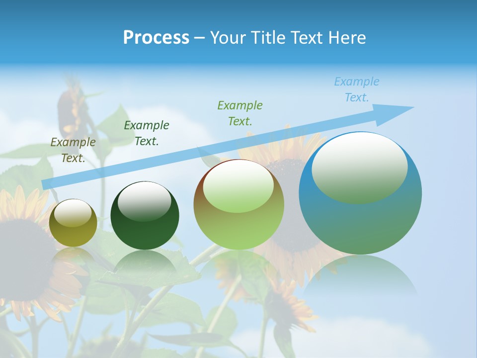 Colour Background Oil PowerPoint Template