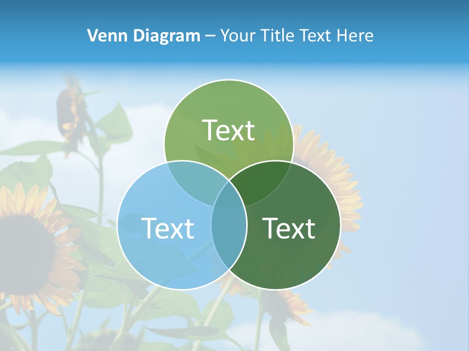 Colour Background Oil PowerPoint Template