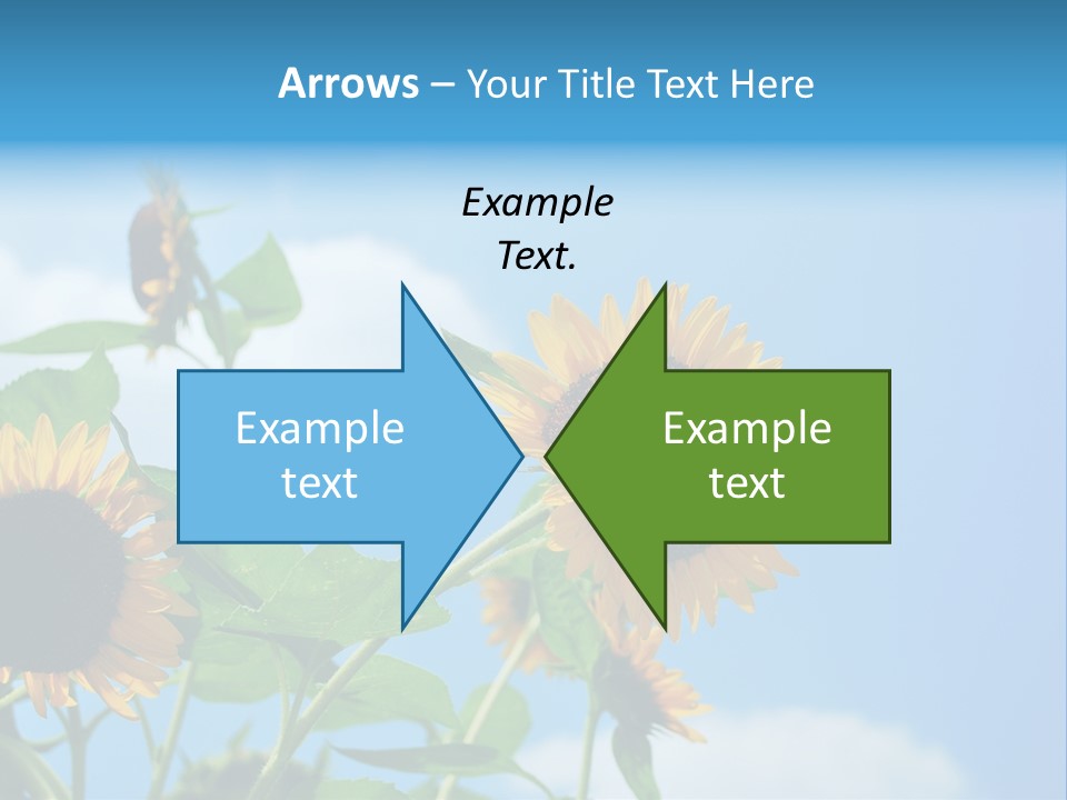 Colour Background Oil PowerPoint Template