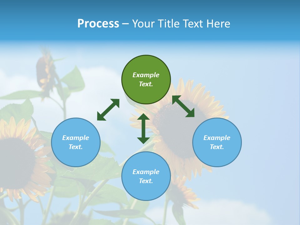 Colour Background Oil PowerPoint Template