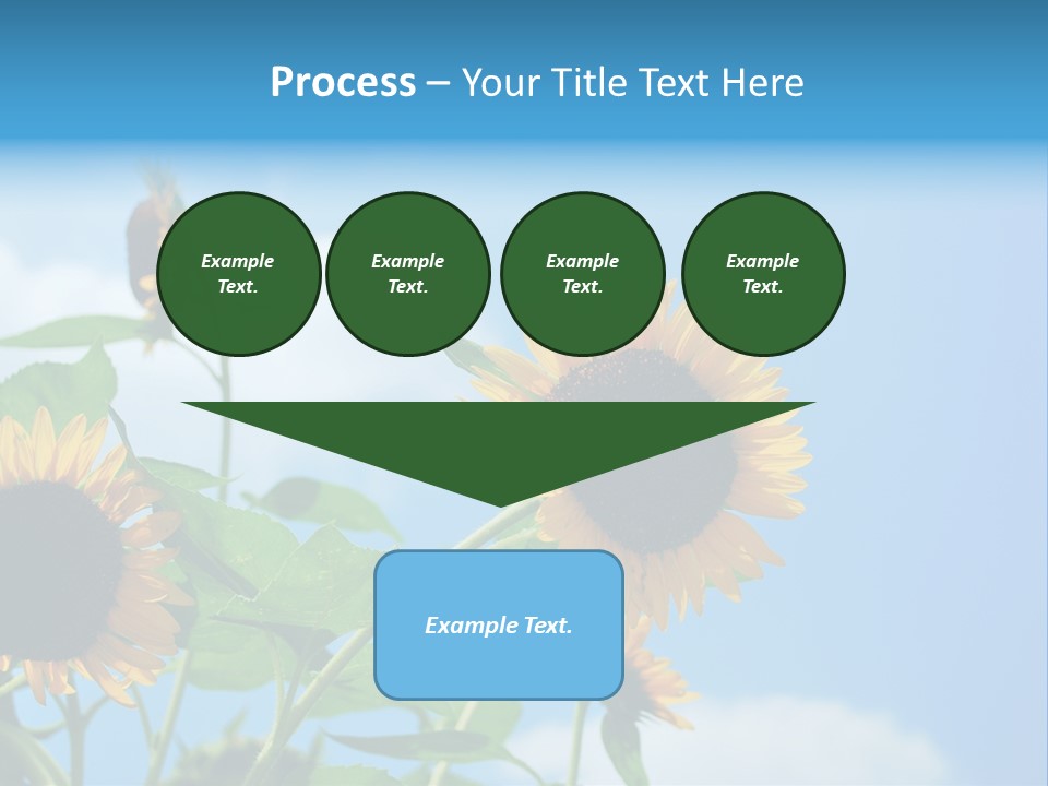 Colour Background Oil PowerPoint Template