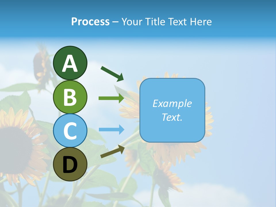 Colour Background Oil PowerPoint Template