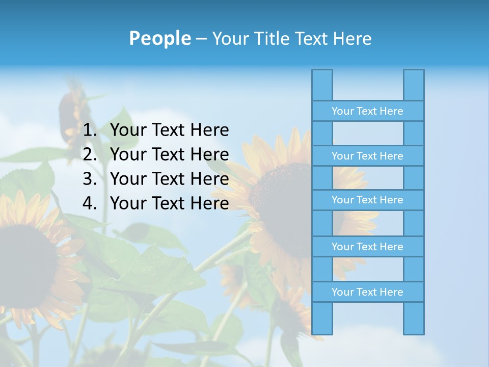 Colour Background Oil PowerPoint Template