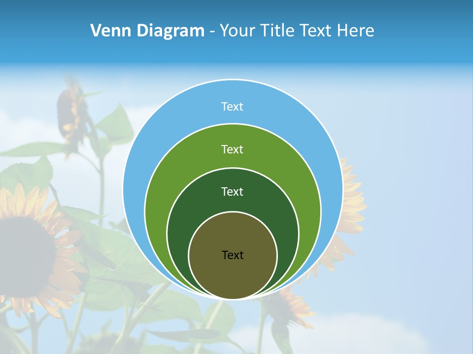 Colour Background Oil PowerPoint Template