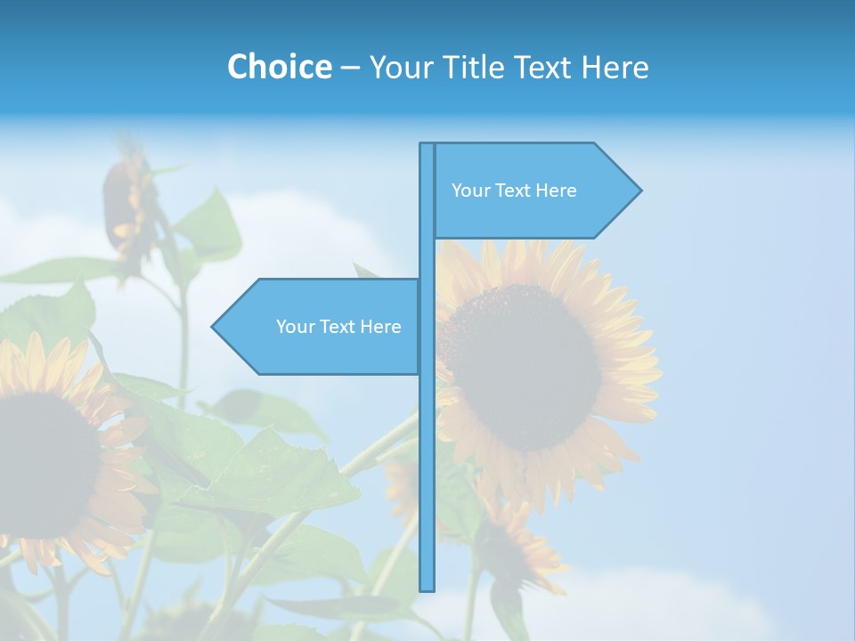 Colour Background Oil PowerPoint Template