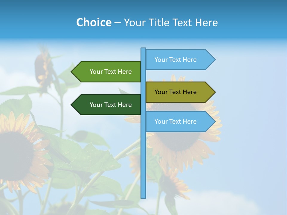 Colour Background Oil PowerPoint Template