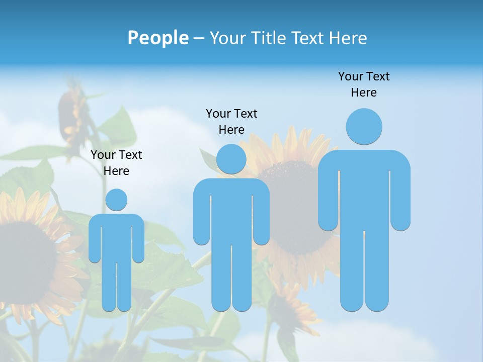 Colour Background Oil PowerPoint Template