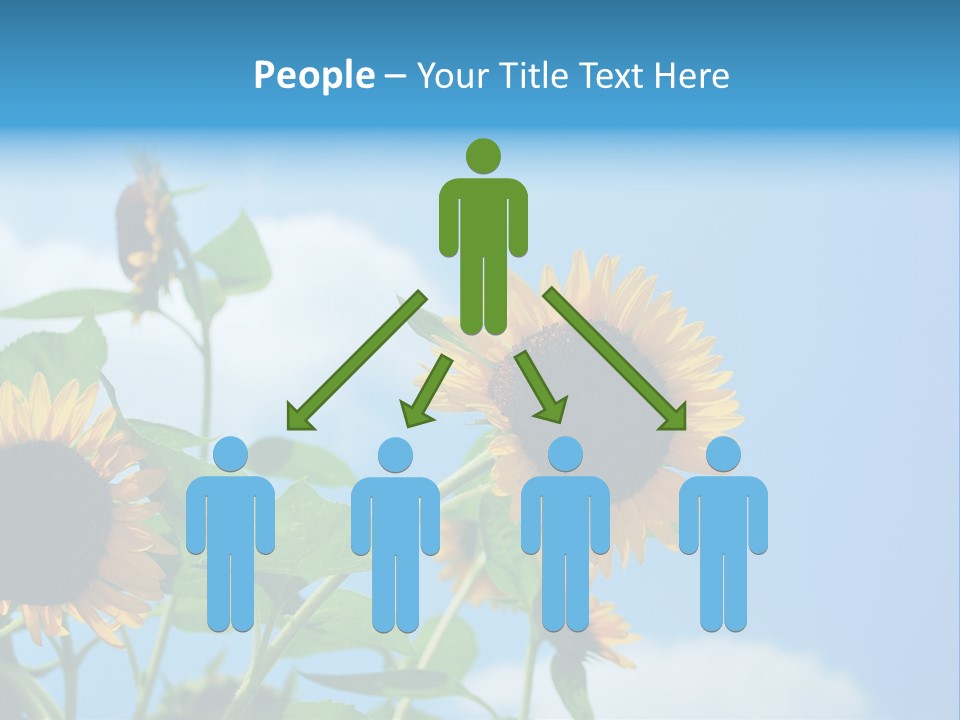 Colour Background Oil PowerPoint Template