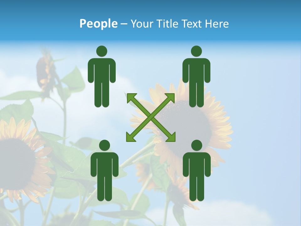 Colour Background Oil PowerPoint Template