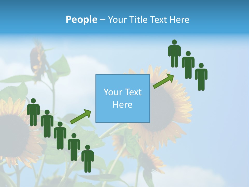 Colour Background Oil PowerPoint Template