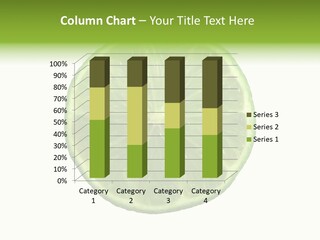 Several Salad Colorful PowerPoint Template