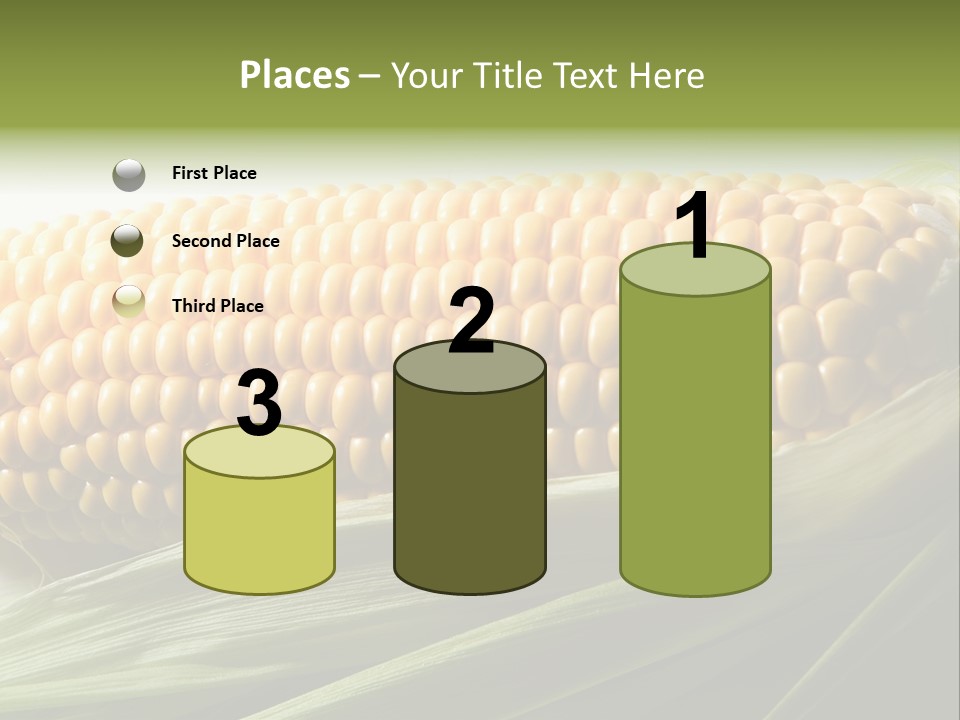 Grain Diet Berry PowerPoint Template