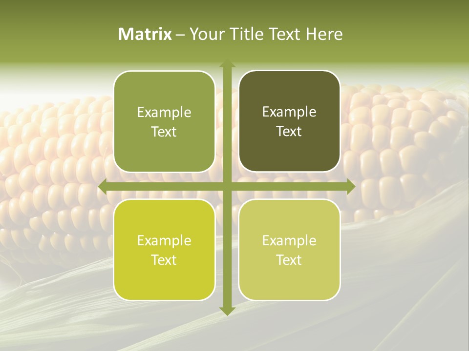 Grain Diet Berry PowerPoint Template