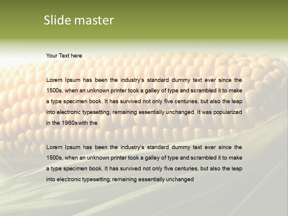 Grain Diet Berry PowerPoint Template