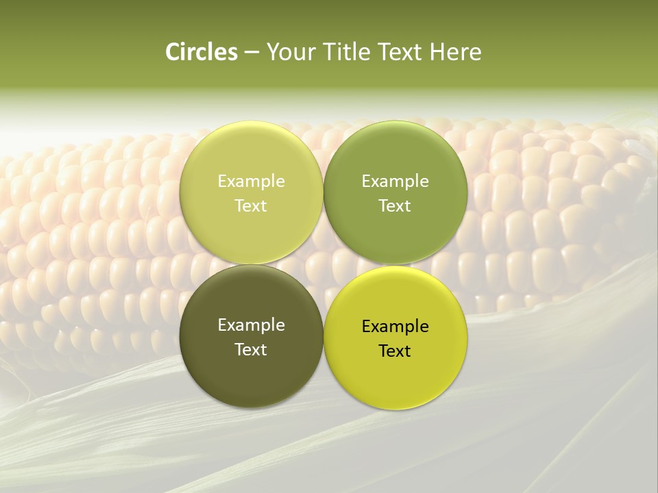 Grain Diet Berry PowerPoint Template