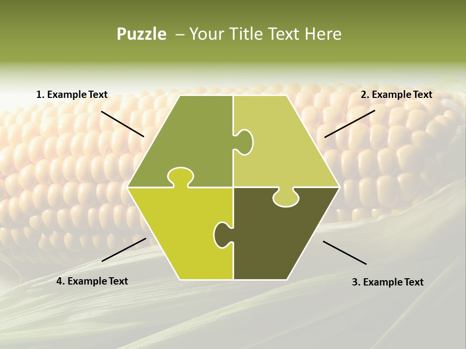 Grain Diet Berry PowerPoint Template