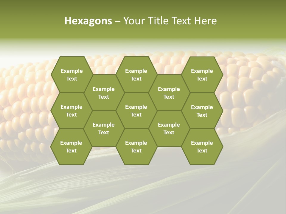 Grain Diet Berry PowerPoint Template