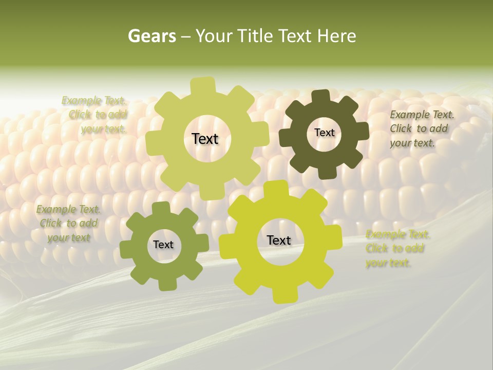 Grain Diet Berry PowerPoint Template