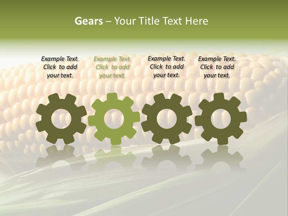 Grain Diet Berry PowerPoint Template