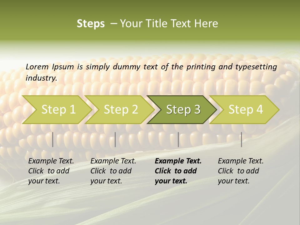 Grain Diet Berry PowerPoint Template