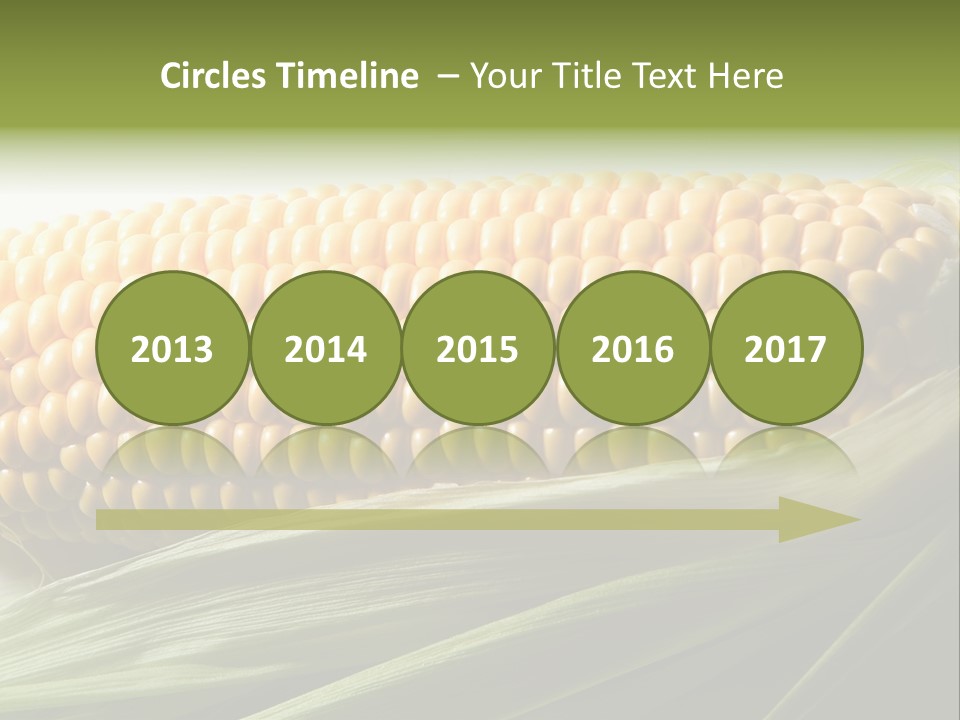 Grain Diet Berry PowerPoint Template