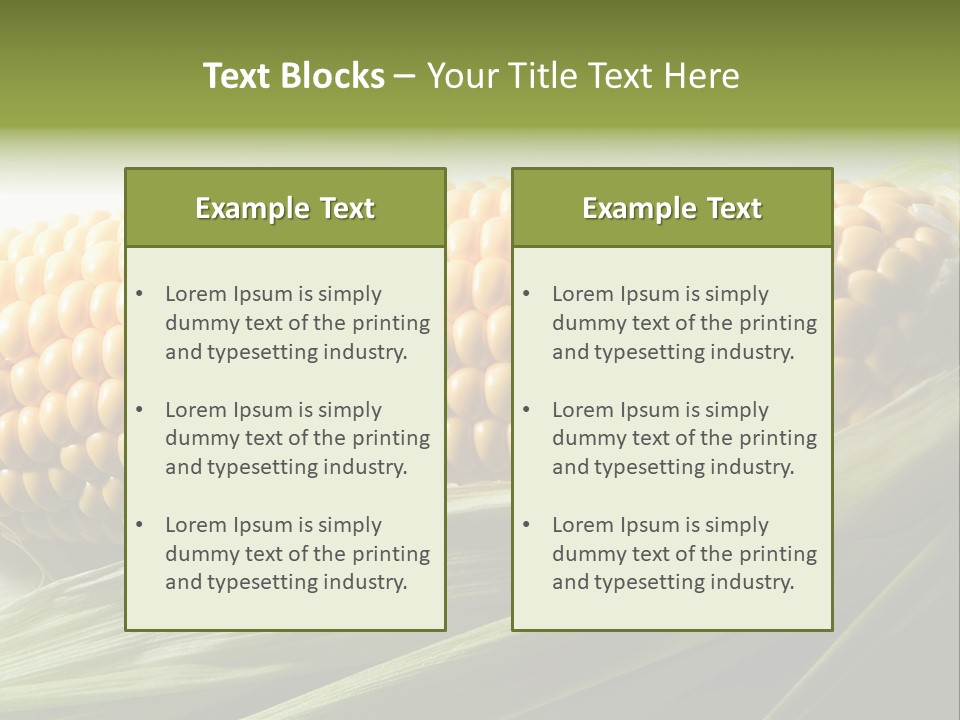Grain Diet Berry PowerPoint Template