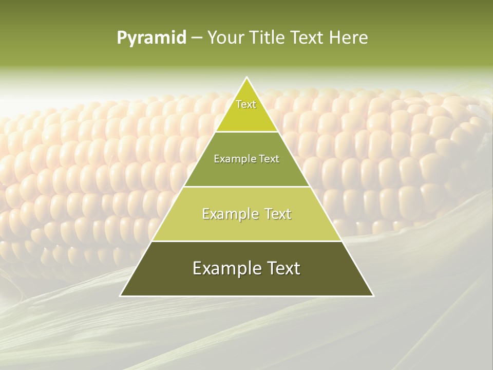 Grain Diet Berry PowerPoint Template