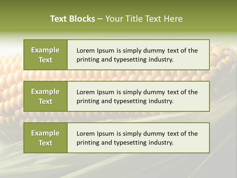 Grain Diet Berry PowerPoint Template