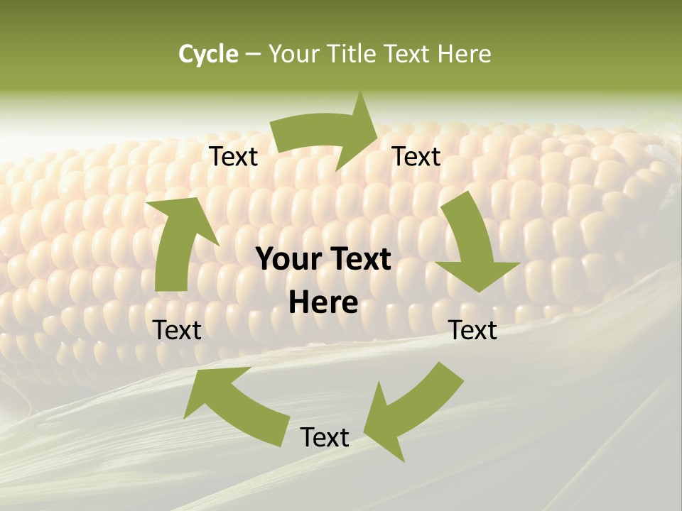 Grain Diet Berry PowerPoint Template