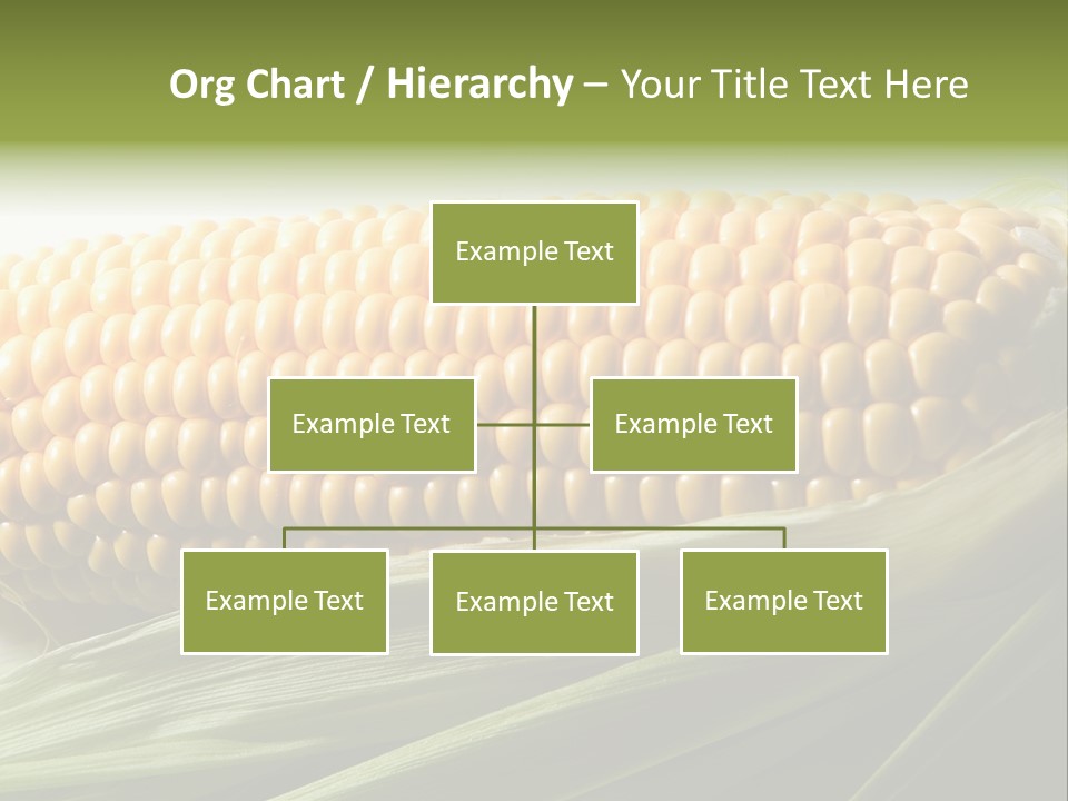 Grain Diet Berry PowerPoint Template