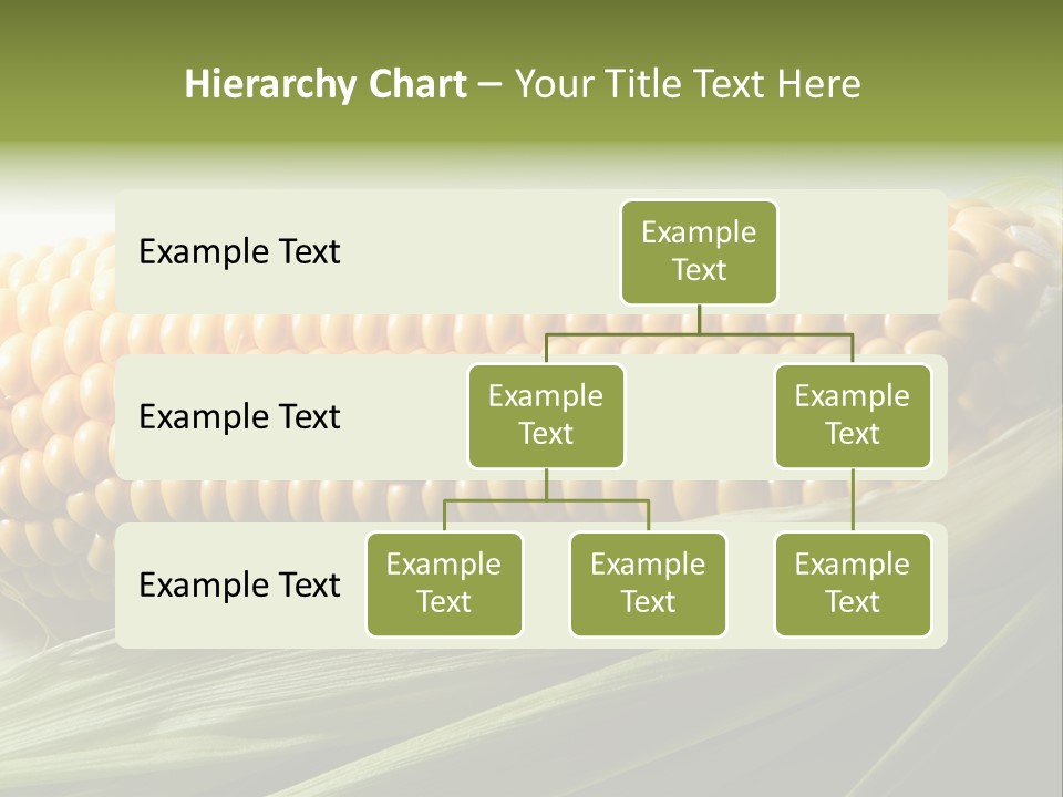 Grain Diet Berry PowerPoint Template