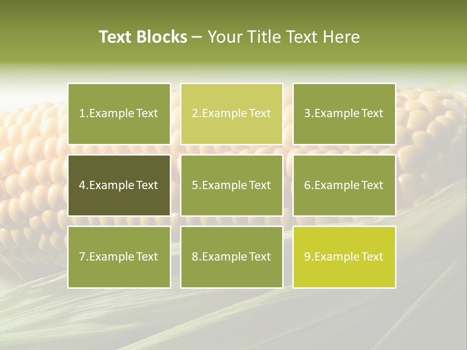 Grain Diet Berry PowerPoint Template