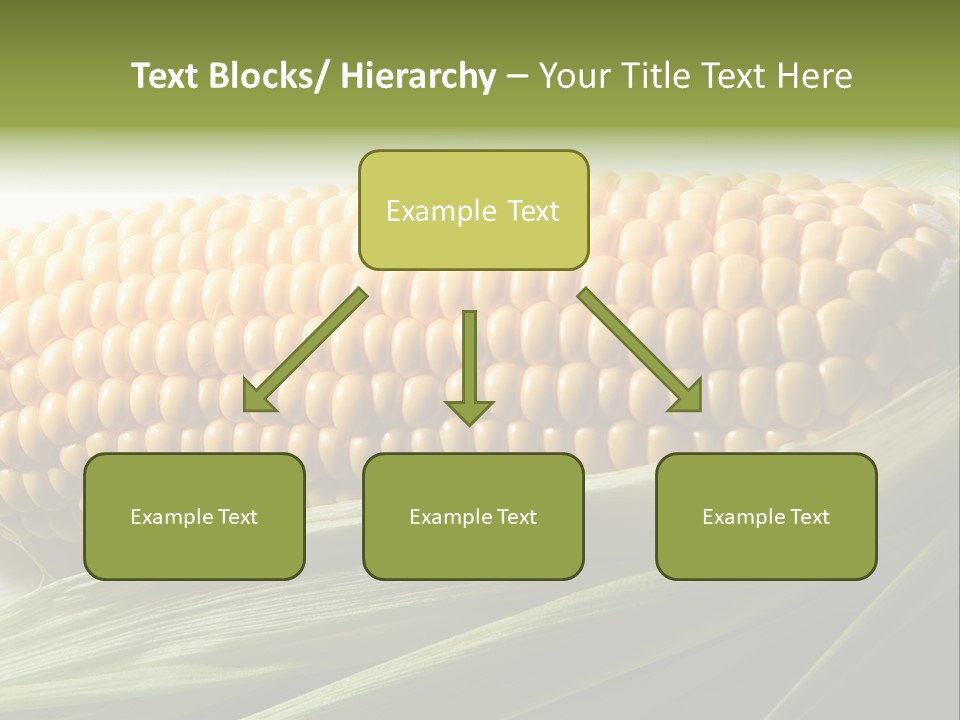 Grain Diet Berry PowerPoint Template