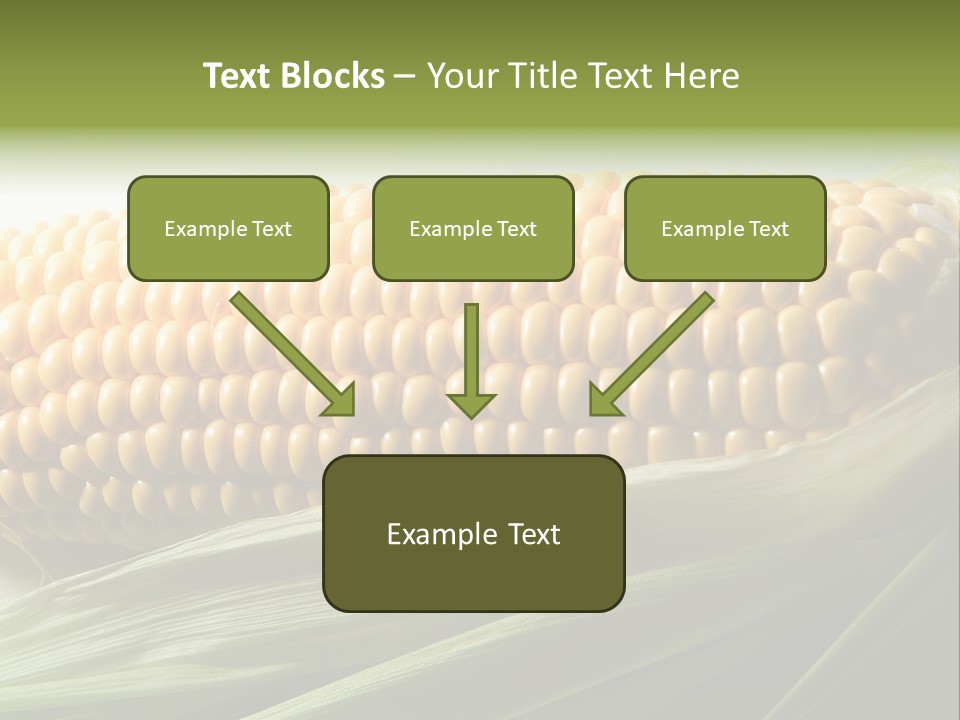 Grain Diet Berry PowerPoint Template