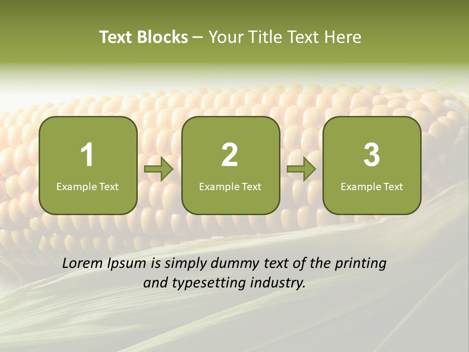 Grain Diet Berry PowerPoint Template