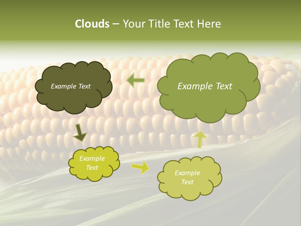 Grain Diet Berry PowerPoint Template