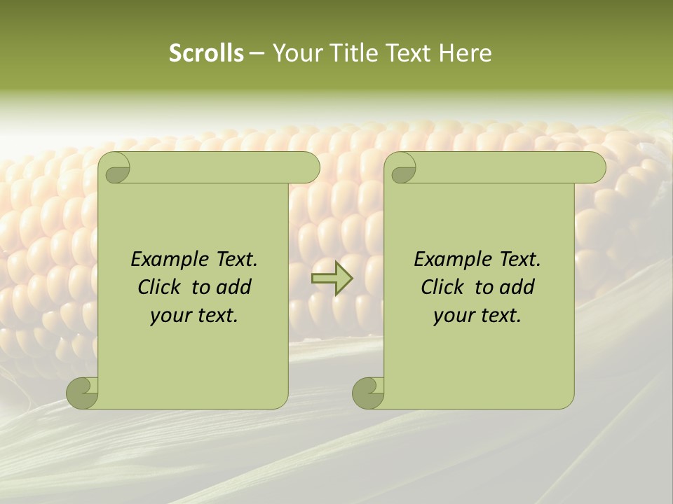 Grain Diet Berry PowerPoint Template