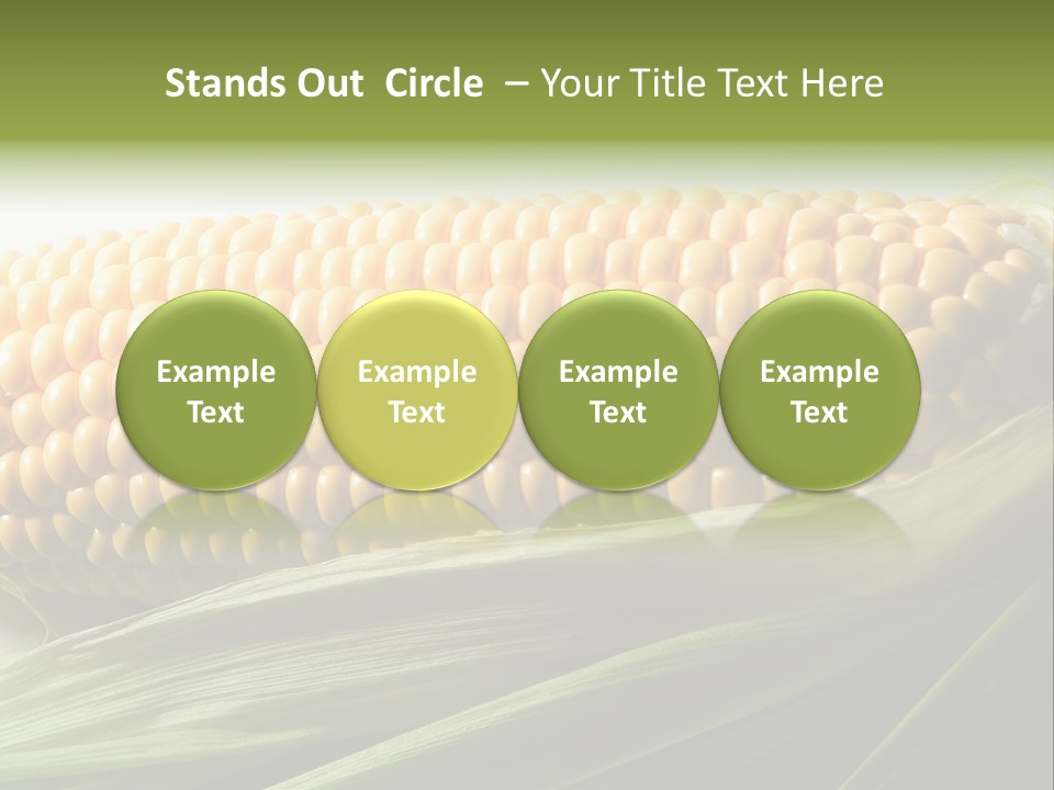 Grain Diet Berry PowerPoint Template