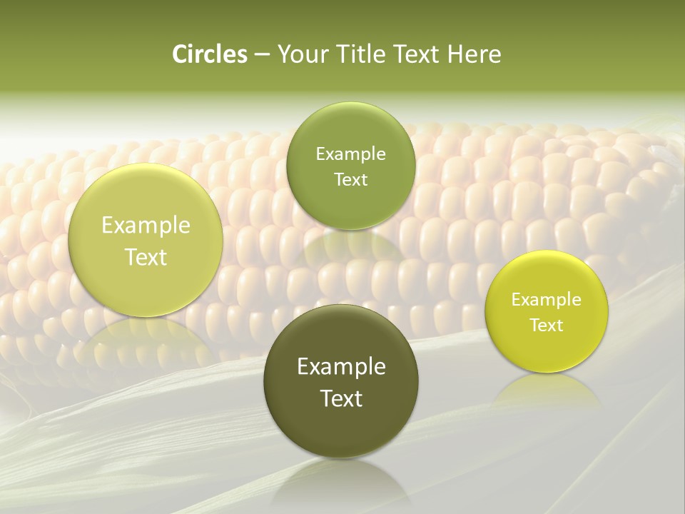 Grain Diet Berry PowerPoint Template