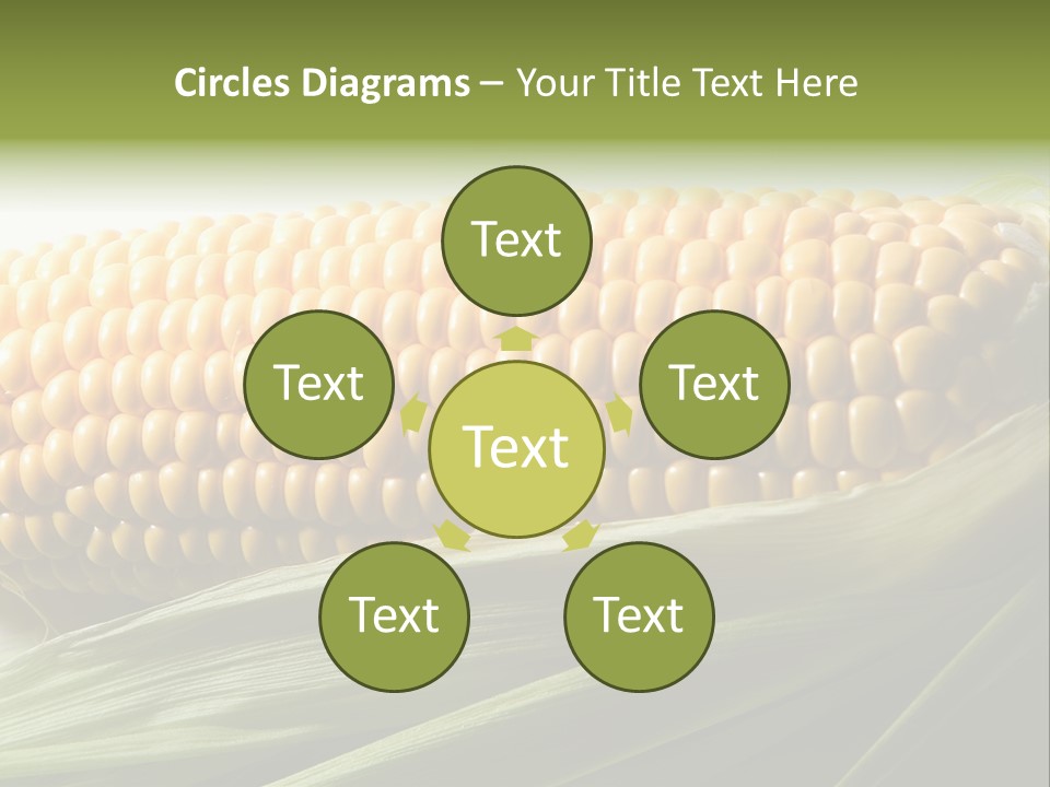 Grain Diet Berry PowerPoint Template