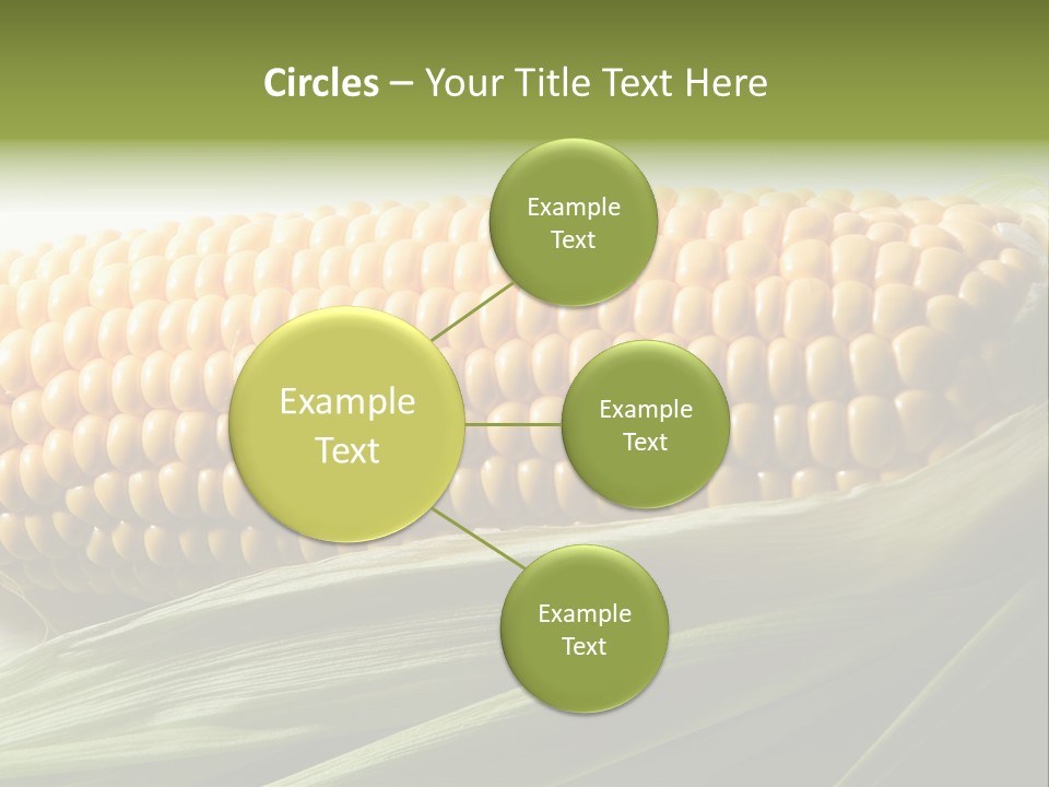 Grain Diet Berry PowerPoint Template