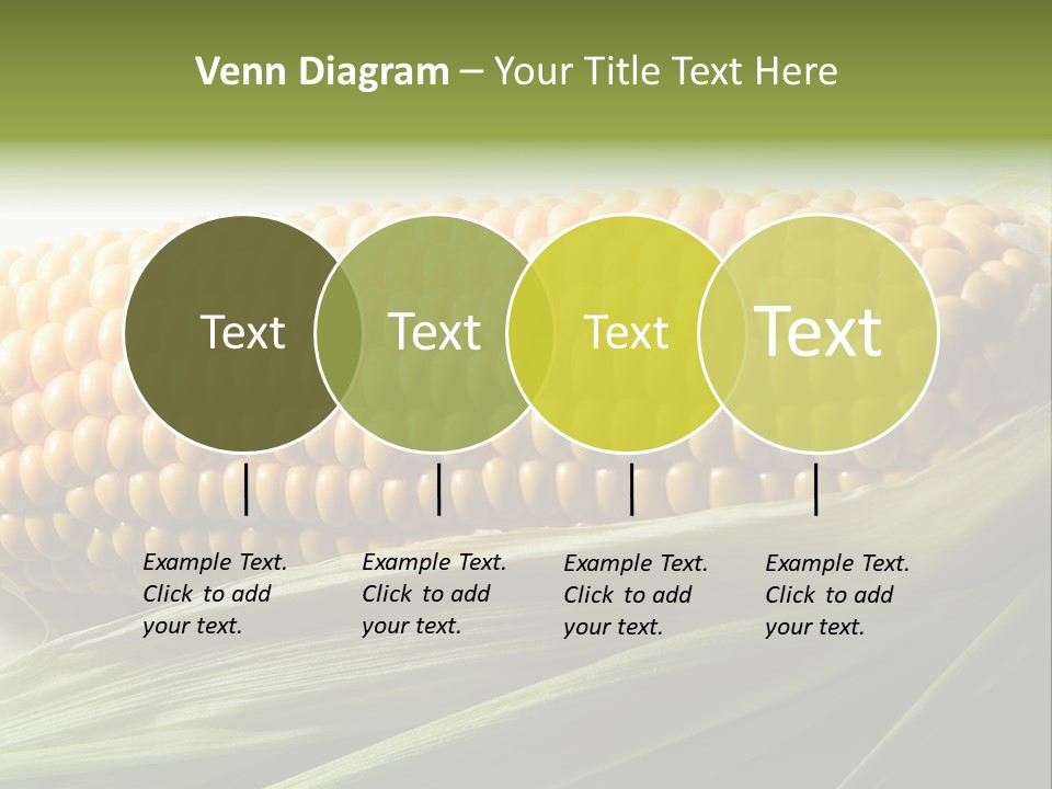 Grain Diet Berry PowerPoint Template