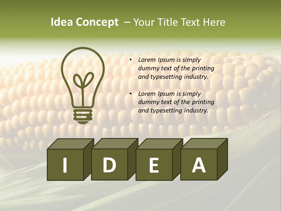 Grain Diet Berry PowerPoint Template