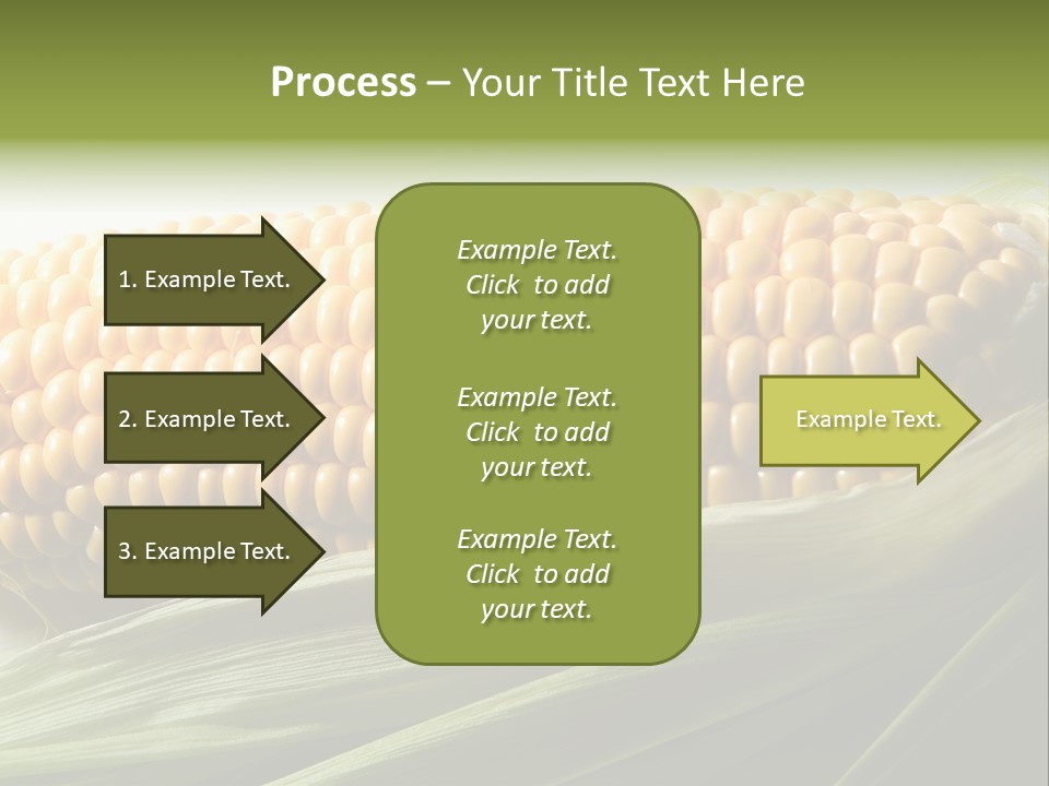 Grain Diet Berry PowerPoint Template