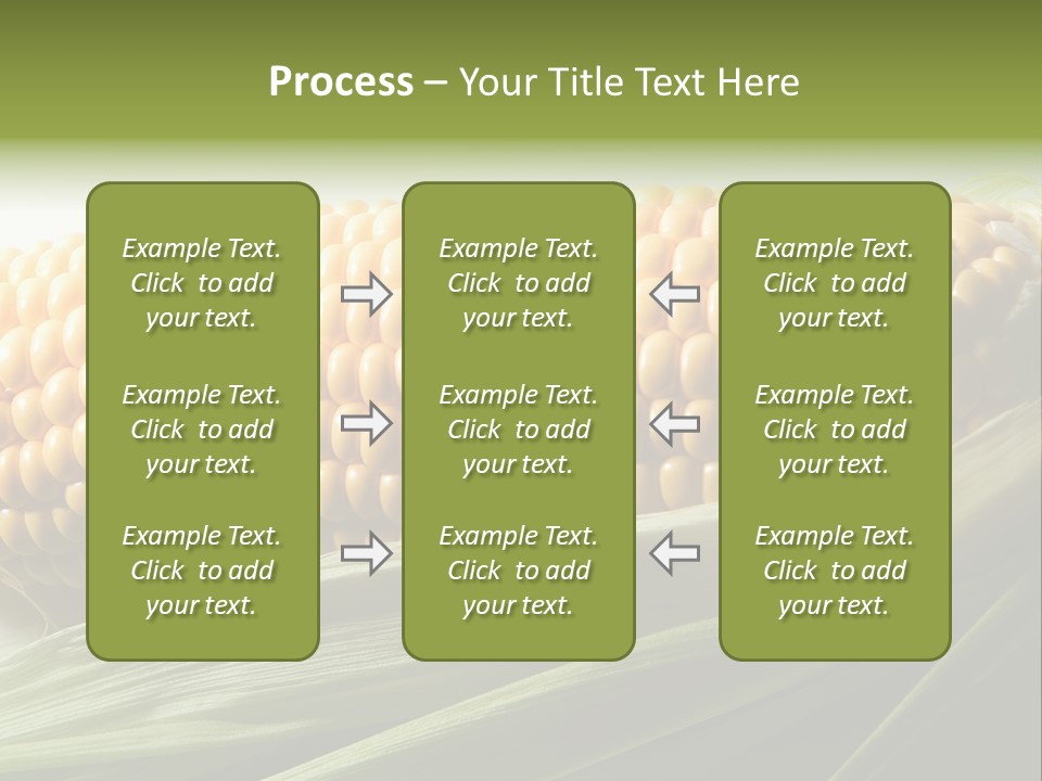 Grain Diet Berry PowerPoint Template