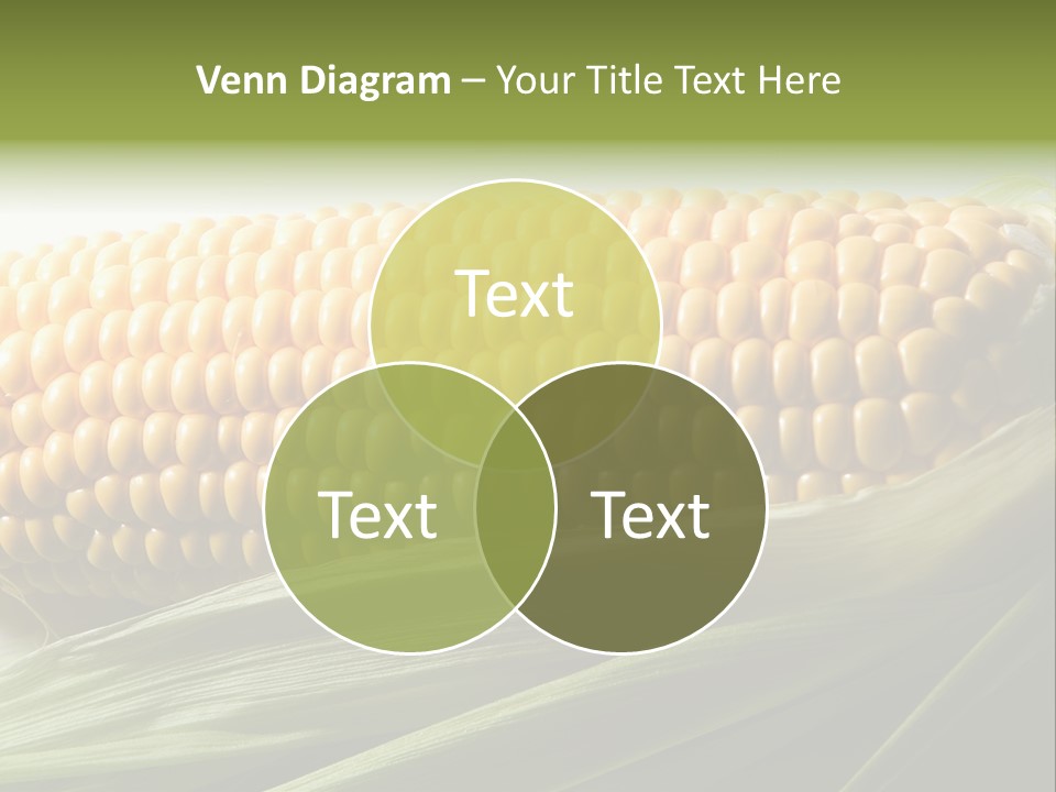 Grain Diet Berry PowerPoint Template