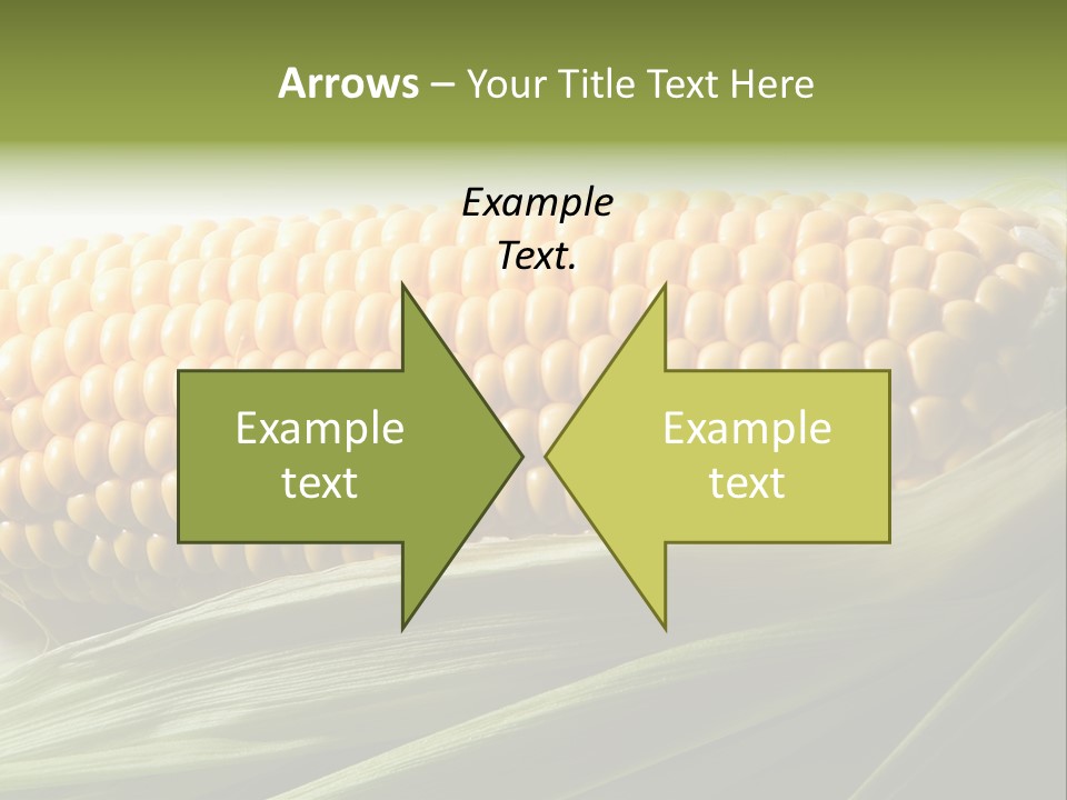 Grain Diet Berry PowerPoint Template