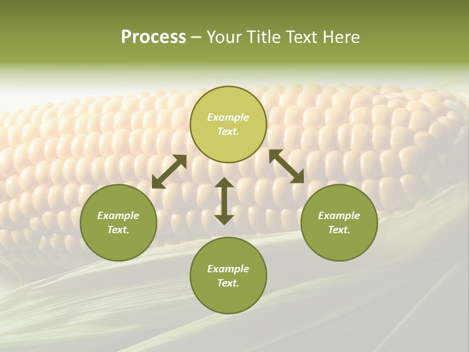 Grain Diet Berry PowerPoint Template