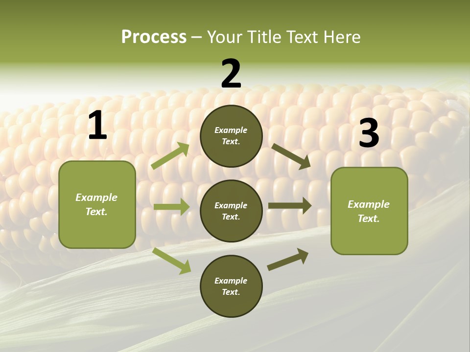 Grain Diet Berry PowerPoint Template